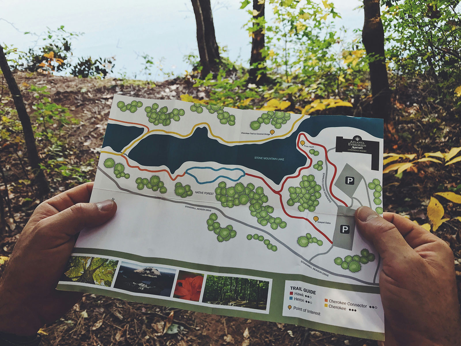 charting-a-new-path